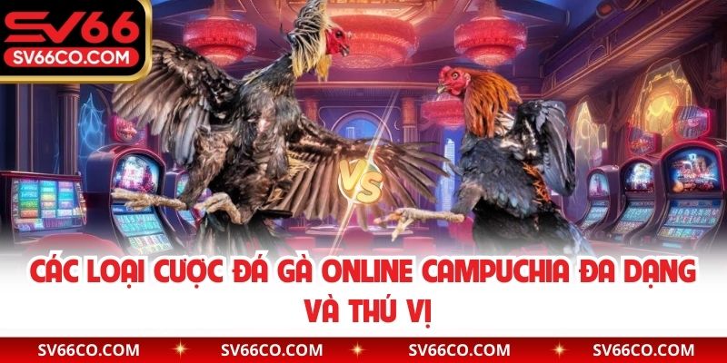 Các loại cược đá gà online Campuchia đa dạng và thú vị